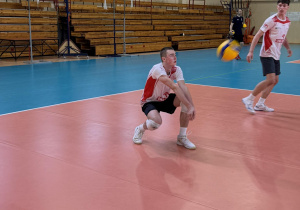 Zdjęcie 8 na 15